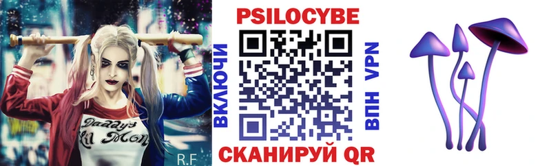кракен зеркало  Мураши  Псилоцибиновые грибы Psilocybine cubensis 