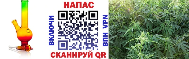 Марихуана индика  Мураши 